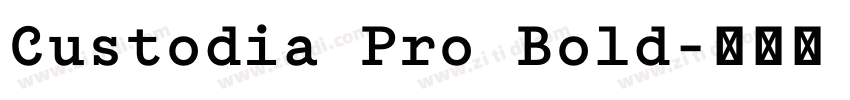 Custodia Pro Bold字体转换
